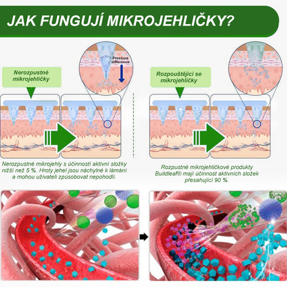 Náplasť BuildLeaf® SMGT-GLP-1 Nano s mikroihličkami s kolagénom a Matrixylom 3000 je zameraná na obezitu, ochabnutú pokožku, vysoký krvný tlak, cukrovku, stukovatenie pečene, bolesti kĺbov, mozgovú hmlu, nízku energiu, bolesti tela a ďalšie.