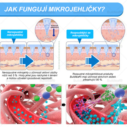 🏥Oficiálny obchod | Náplasť BuildLeaf® GLP-1 s nano-mikroihličkami, kolagénom a Matrixylom 3000 pre obezitu, kardiovaskulárne ochorenia, cukrovku, spánkové apnoe, problémy s kĺbmi a ďalšie